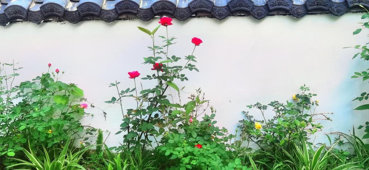 Tujia Folk Houses 張家界市 エクステリア 写真